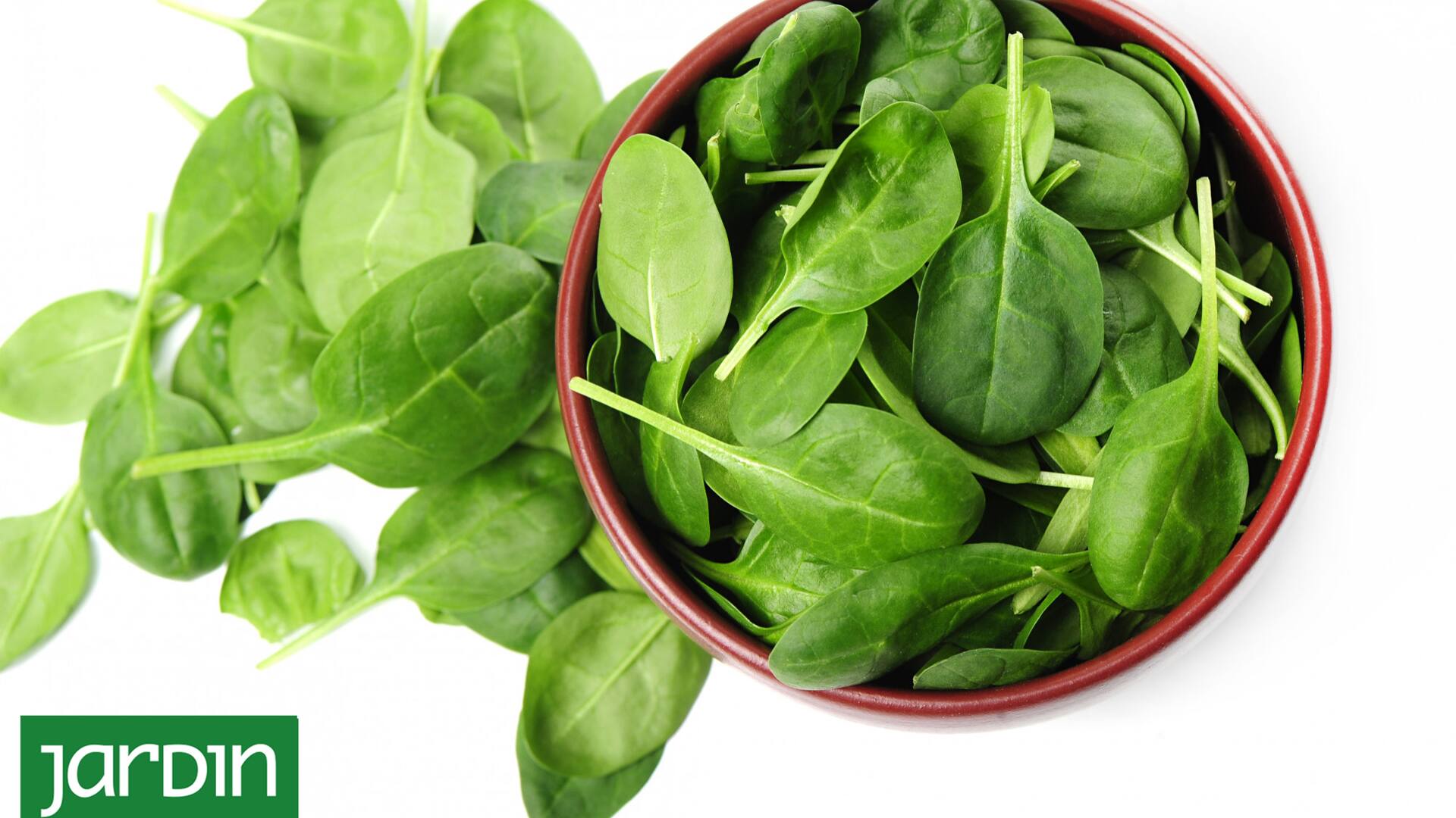 Un alimento superpoderoso en magnesio que podés cultivar en una maceta