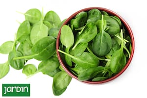 Es un alimento superpoderoso en magnesio, ideal contra el cansancio y a favor del sistema inmune