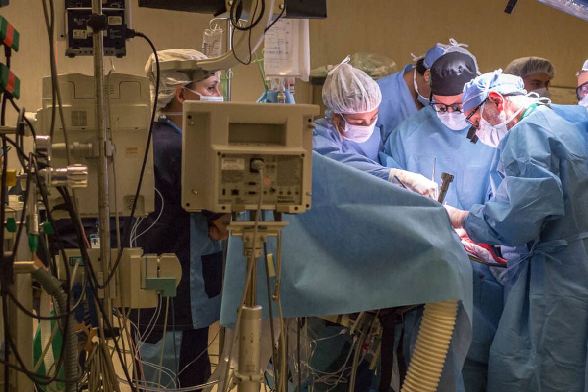 Cómo se hace un trasplante: 6 horas junto al equipo del Hospital Italiano