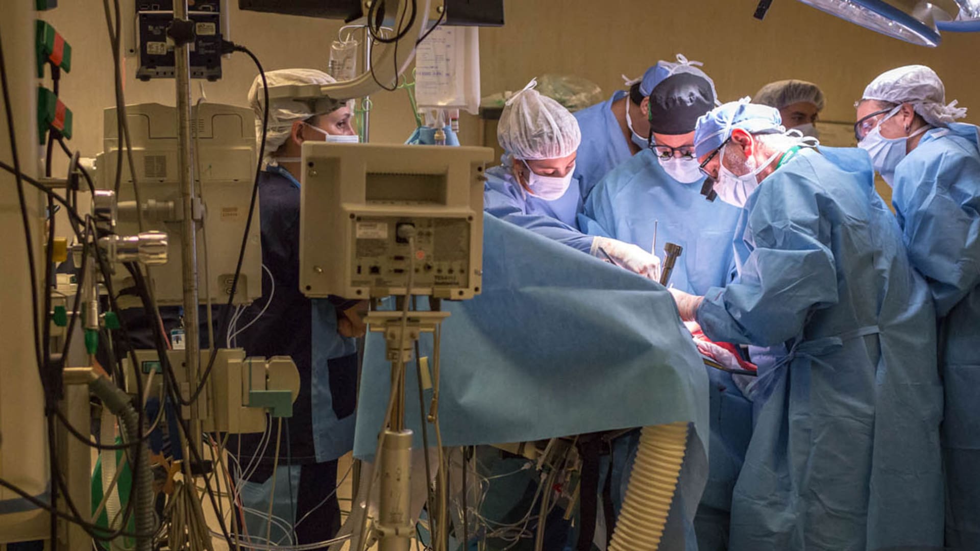 Cómo se hace un trasplante: 6 horas junto al equipo del Hospital Italiano