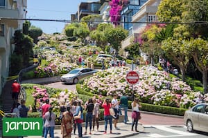 Una de las postales más icónicas de San Francisco tiene su origen en el paisajismo y el trabajo de los vecinos