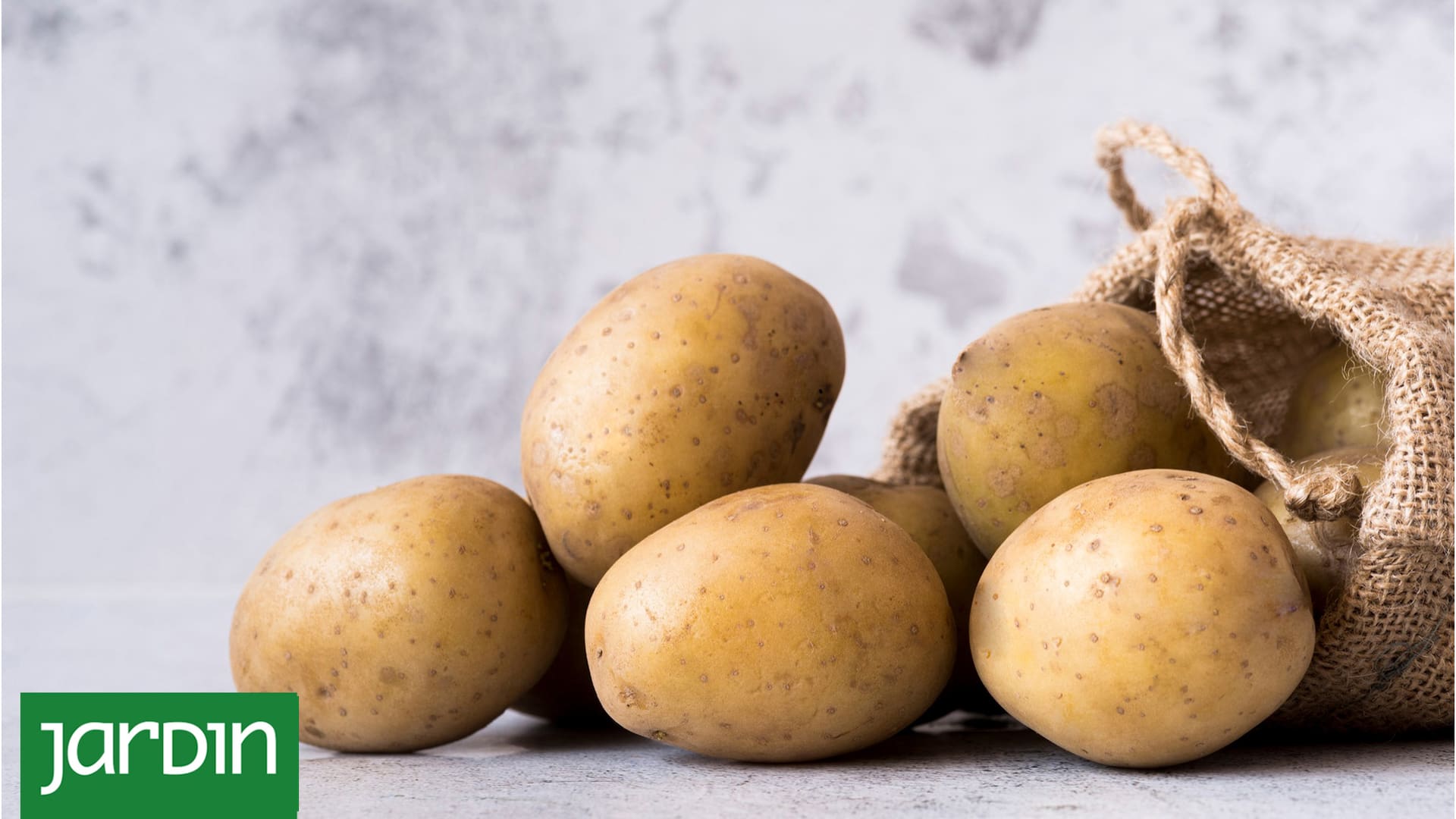 Es la verdura que más se consume en el país, tiene infinidad de usos en la cocina y puede ser parte de tu huerta
