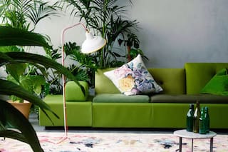 Greenery: así se decora con el color del año