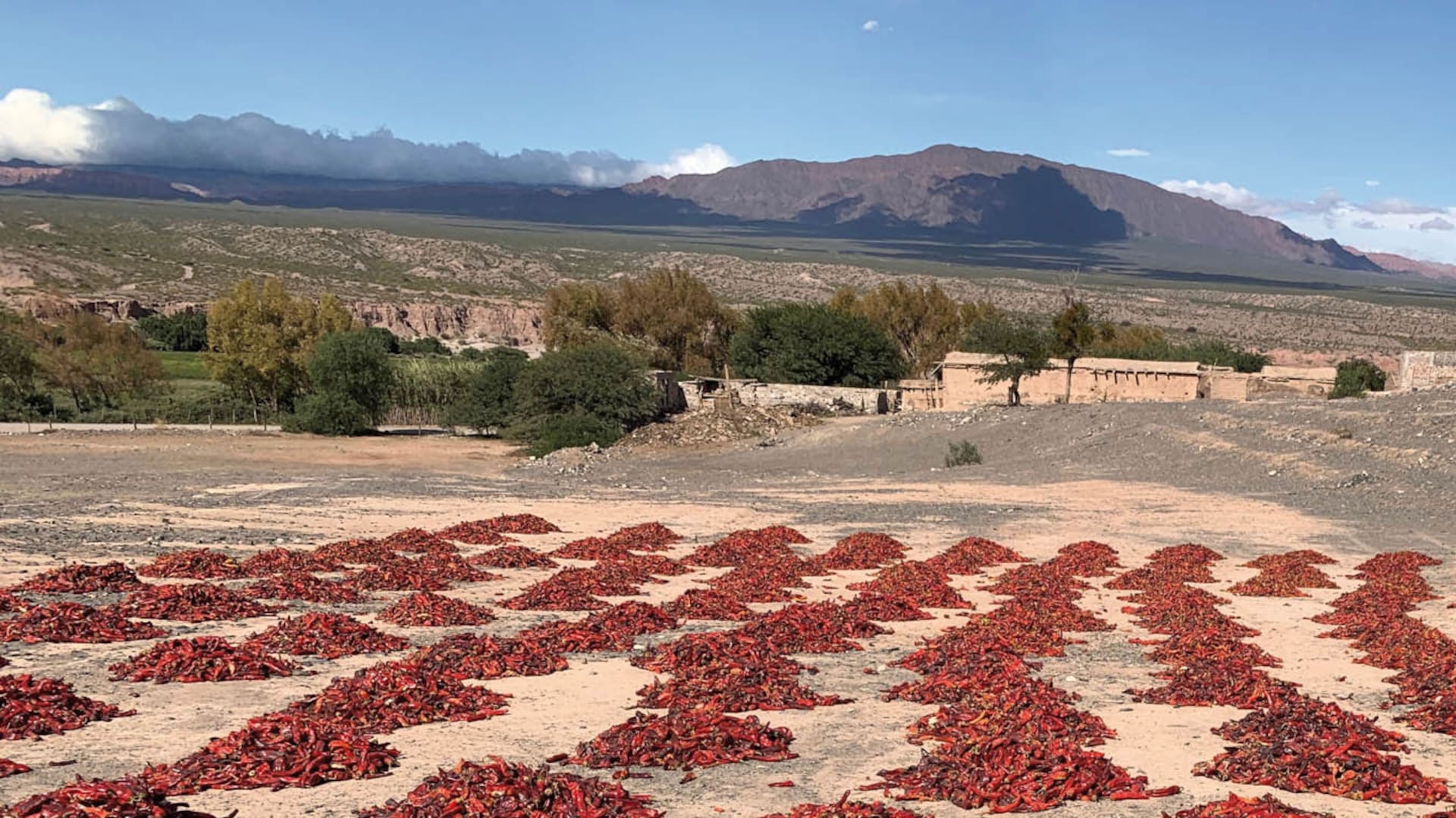 Valles Calchaquíes: una parada en el "Pimiento tour"