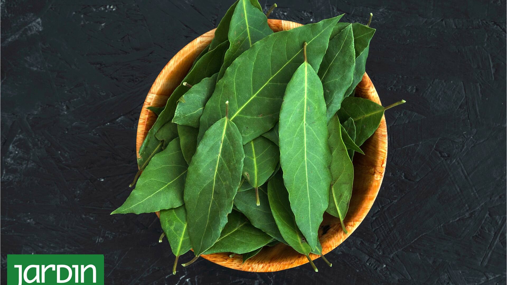 Receta de las abuelas para hacer insecticida casero con hojas de laurel