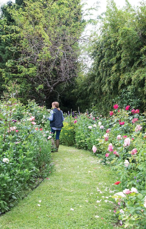 Inspirada en las novelas victorianas, diseñó su propio edén de rosas antiguas