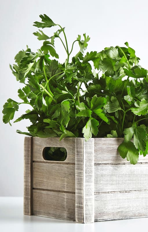 Chimichurri de la huerta: cómo preparar esta receta argentinísima con lo que hay en casa