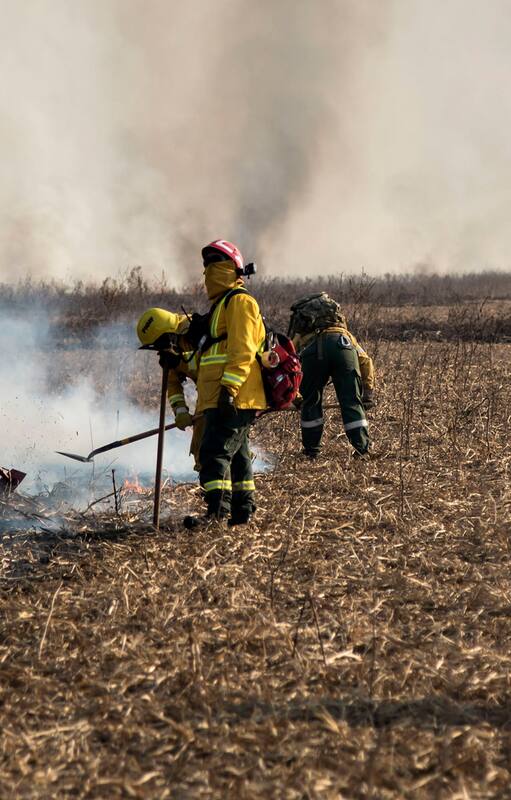 Delta. El incendio en el Paraná destruyó casi tres veces la superficie de CABA