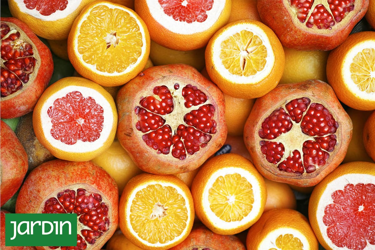 El ránking antigripal de los alimentos de la huerta