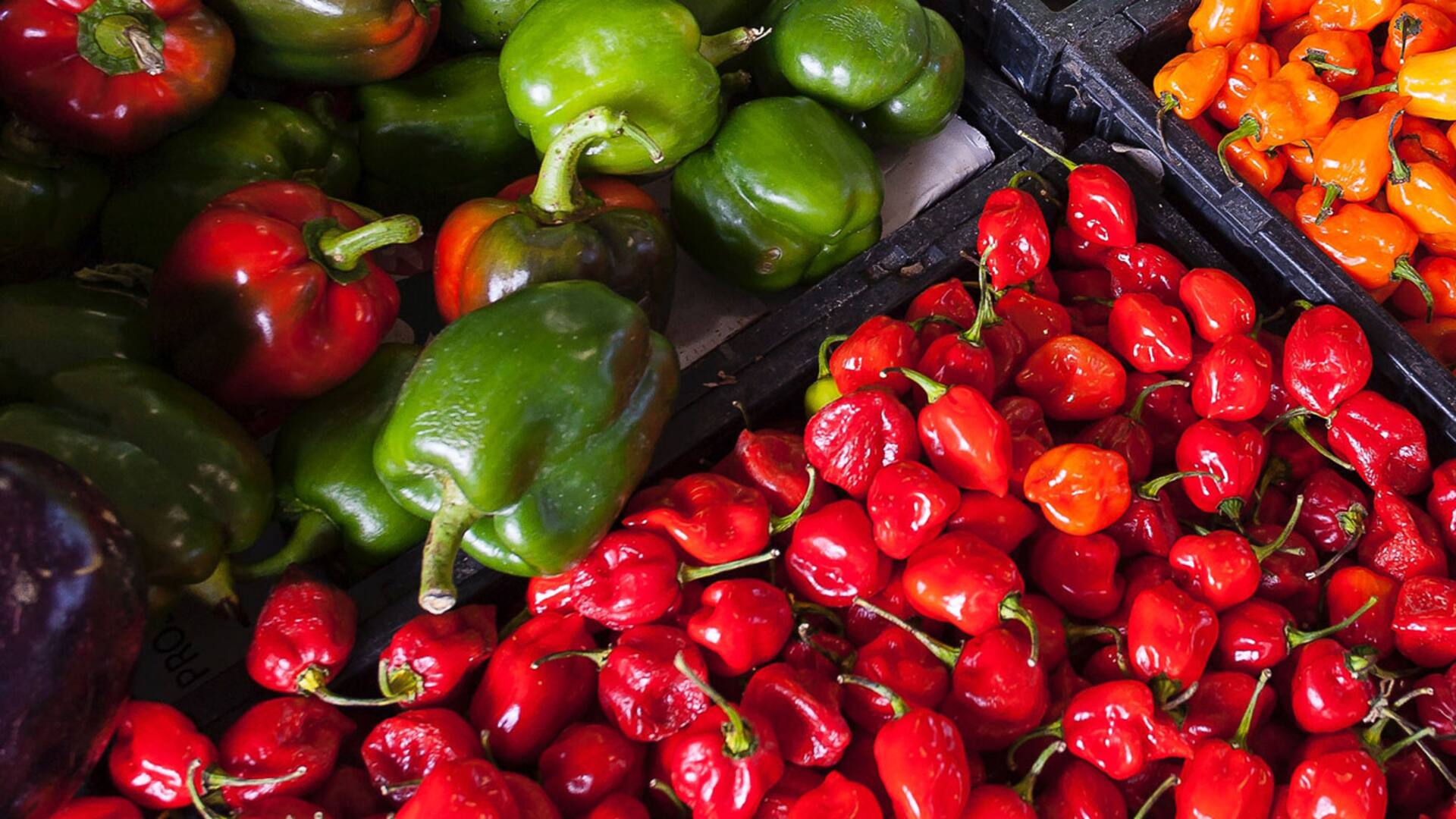 Cultivos de verano: las muchas formas de llevar el pimiento a tus comidas