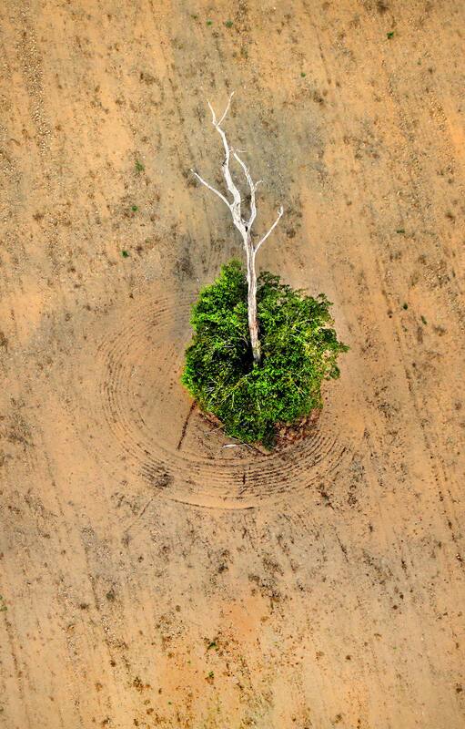 Desarrollo sustentable. El desafío de crecer sin devastar el planeta