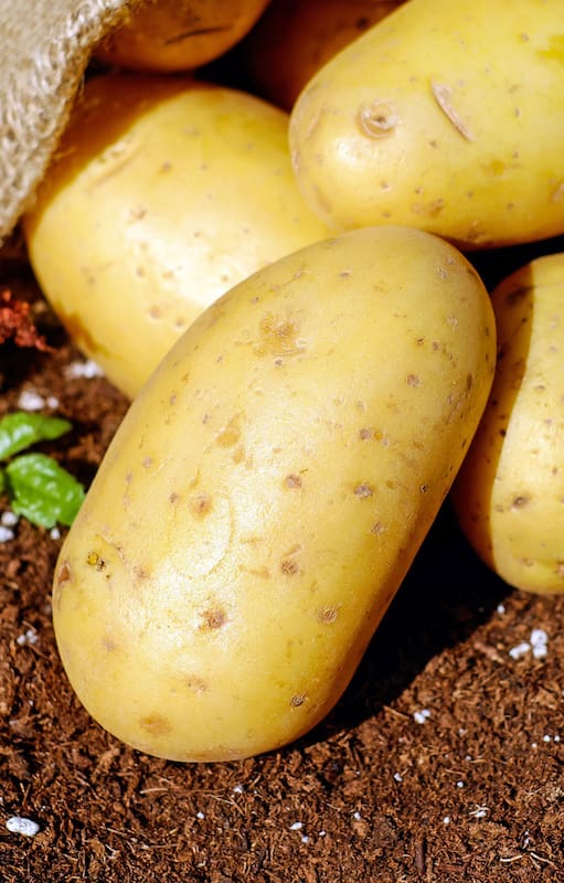 Huerta hogareña: cómo cultivar papas en casa y preparar los platos más ricos