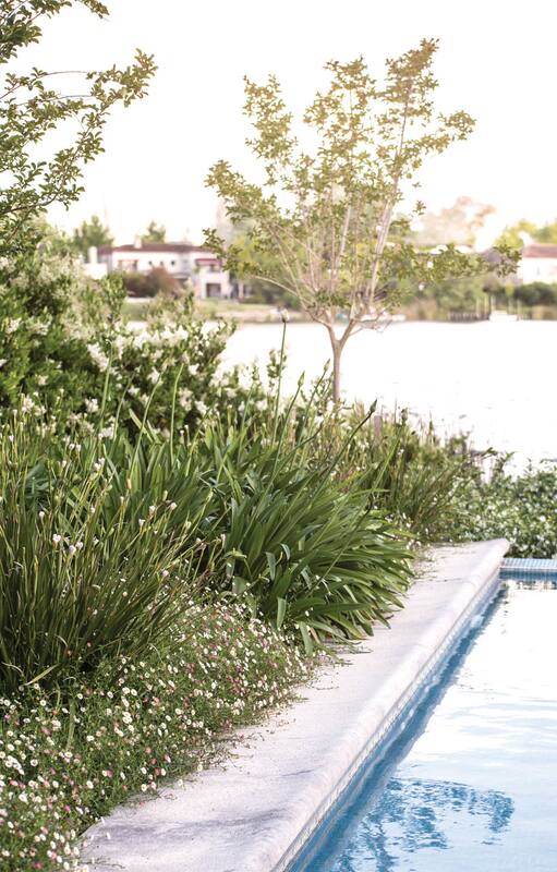 Tigre: un espacio diseñado en terrazas, florido todo el año y con vista a la laguna