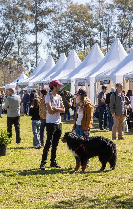 Cuáles son los 7 hits de la feria que sorprendieron al público