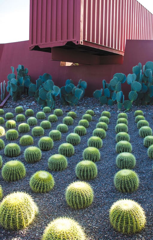 Un jardín andino diseñado para exponer la magnificencia de los cactus