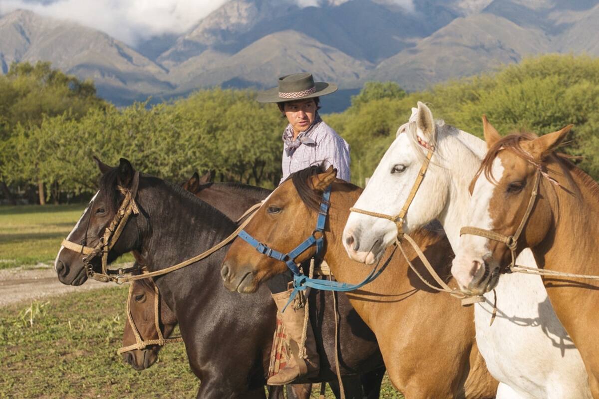 Un paraíso biodinámico en el Valle de Traslasierra