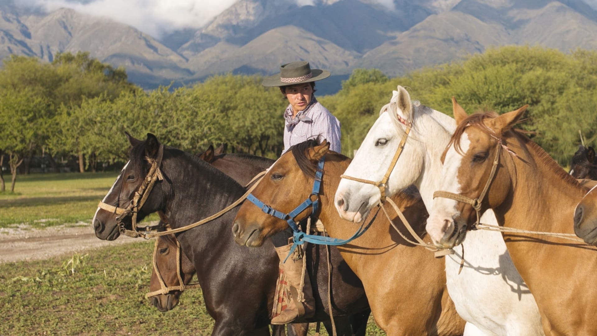 Un paraíso biodinámico en el Valle de Traslasierra