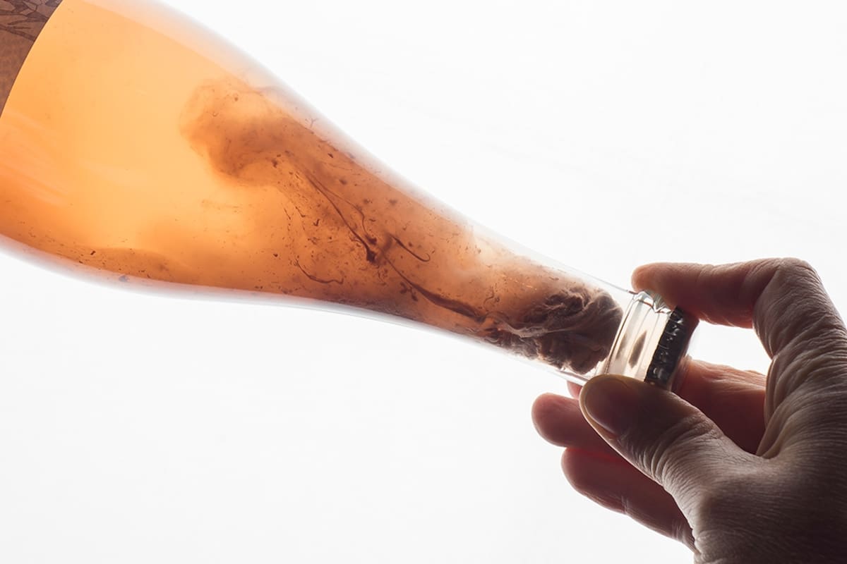 Vinos. Qué son los Pet Nat que llegaron a las góndolas locales y las muchas razones para tomarlos