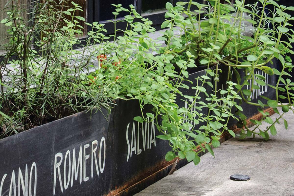 11 ideas muy fáciles para renovar los espacios al aire libre