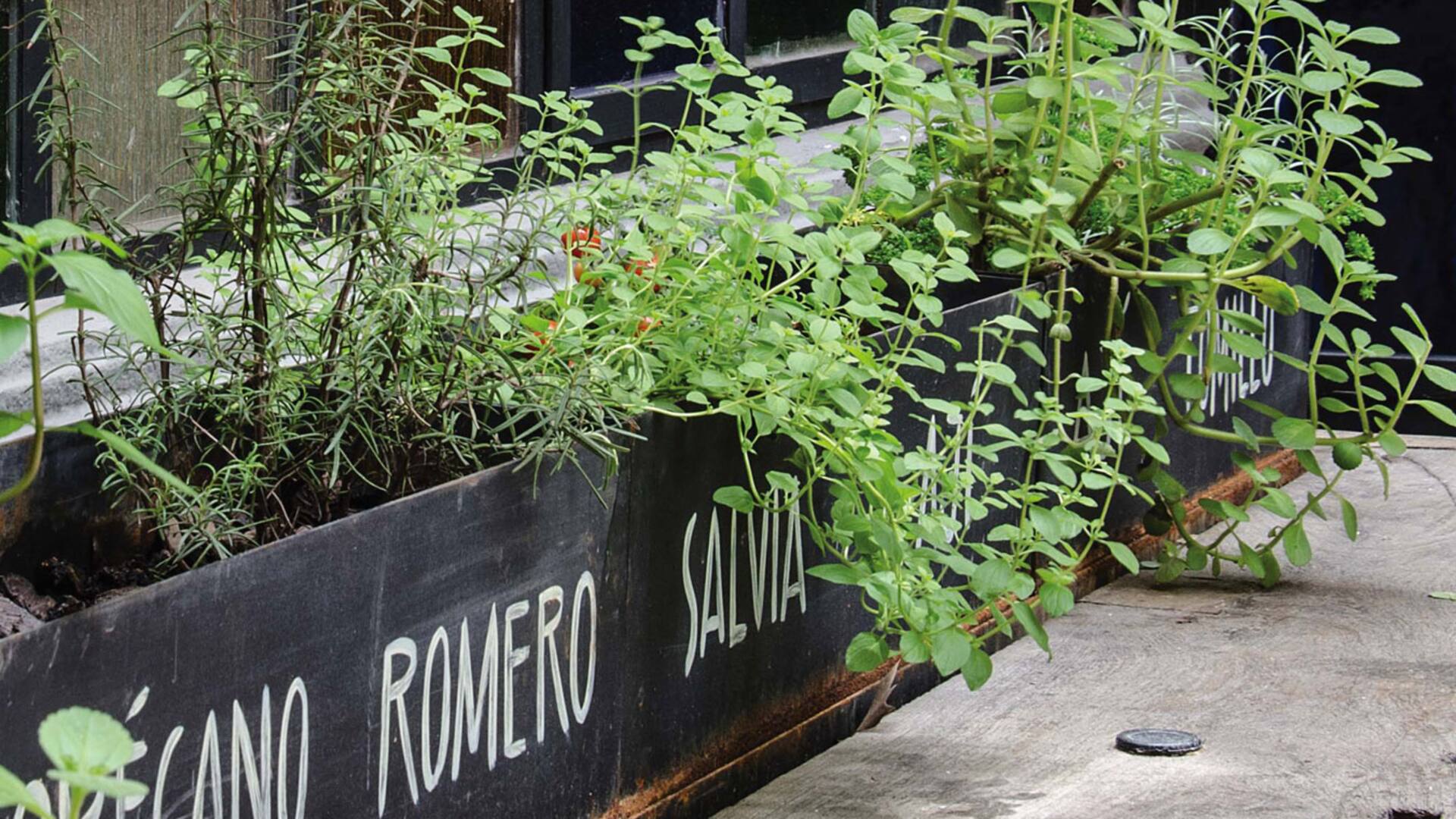 11 ideas muy fáciles para renovar los espacios al aire libre