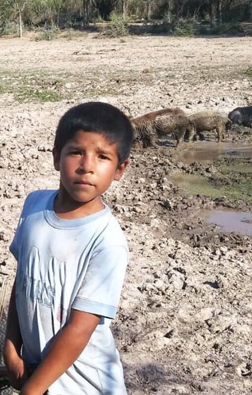 Tres hermanos se bañan y cocinan con el agua del canal en el que viven los chanchos