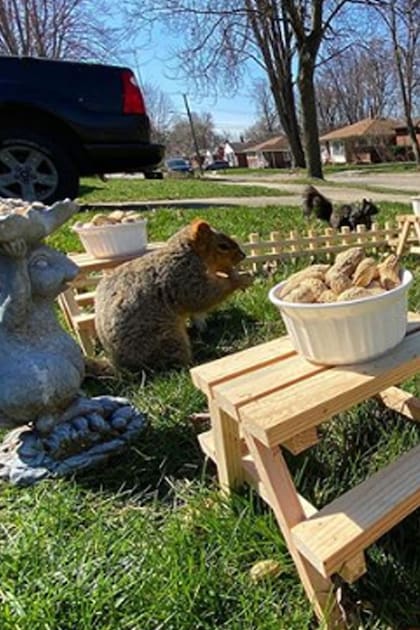 En Detroit. Construyó un restaurante en miniatura para los animales del vecindario