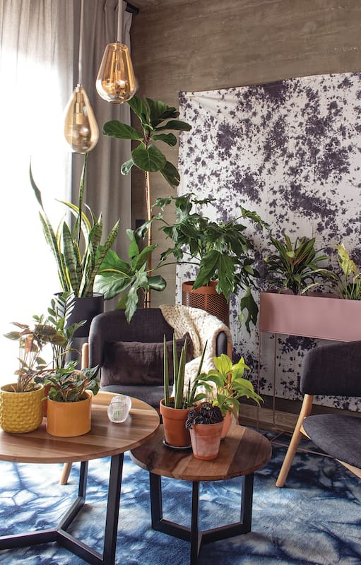 Cómo hacer que cada espacio de nuestro hogar sea un jardín