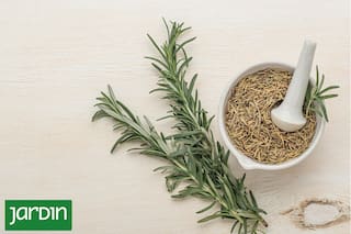 Cuál es la hierba que se planta en primavera y es anticancerígena