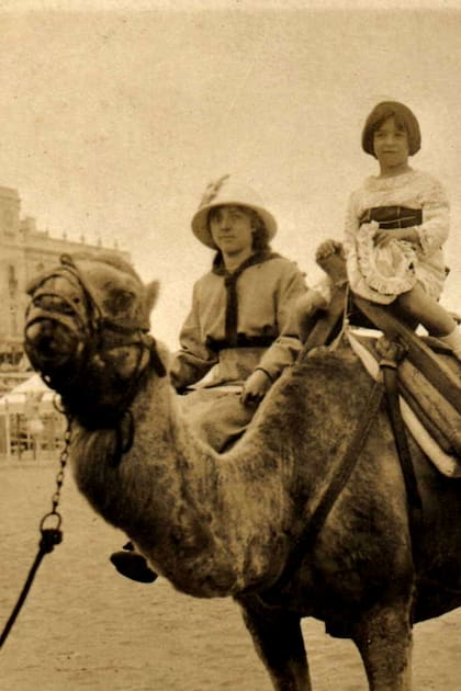 Los paseos en camello por la playa fueron un éxito durante una sola temporada