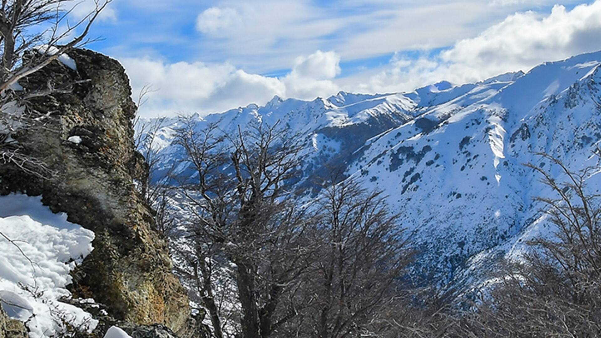 Catedral: todas las nieves en un solo lugar