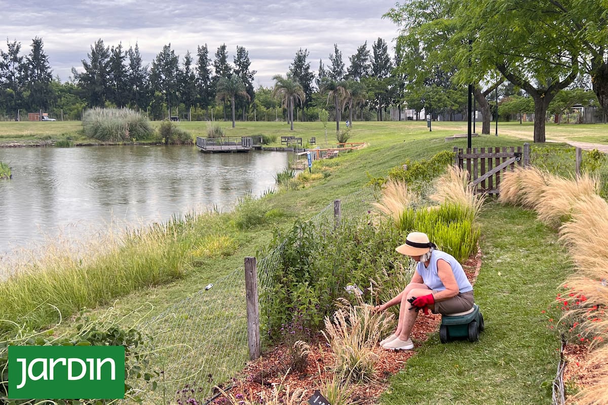 Las cinco especies que no fallan en jardines que dan a la laguna