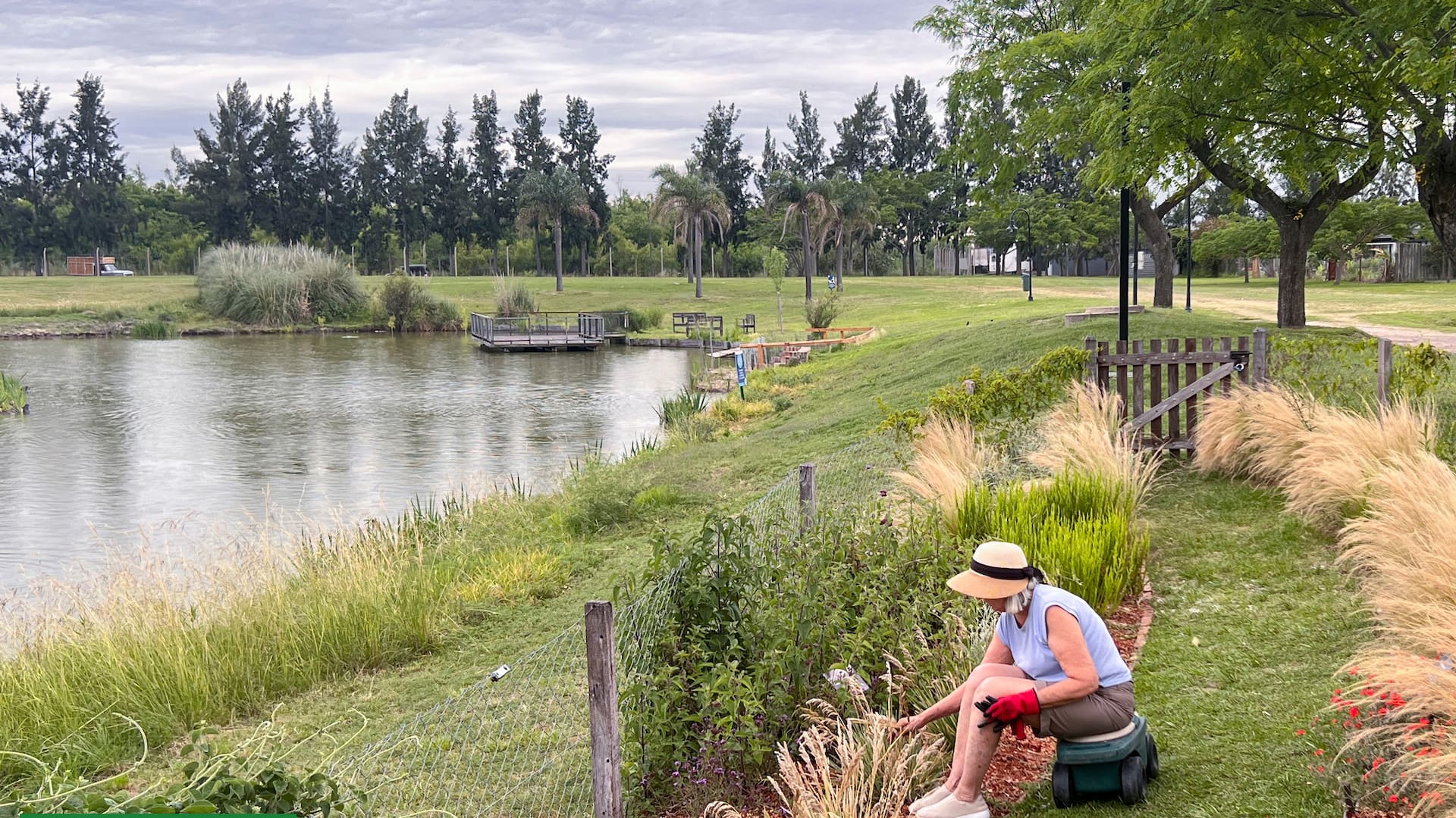 Las cinco especies que no fallan en jardines que dan a la laguna