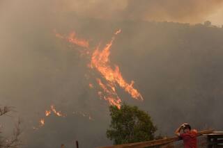 Se registraron incendios forestales en el norte del país