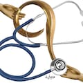 No queremos lo suficiente a los médicos