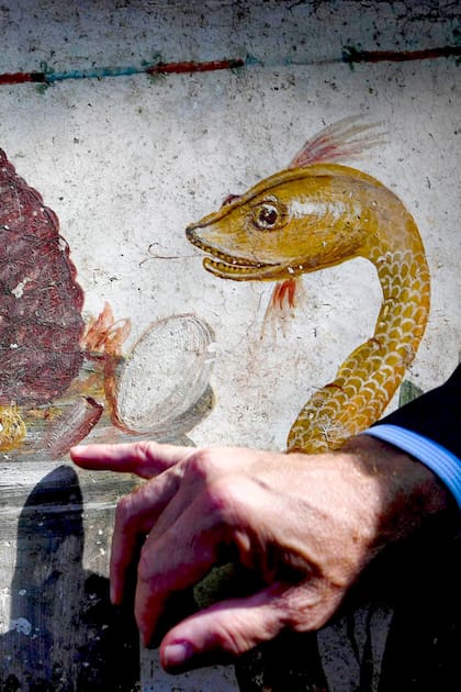 Pompeya: descubren pinturas en una pared de una casa enterrada tras la erupión del Vesuvio