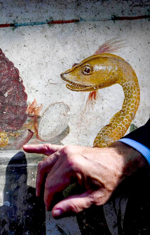 Pompeya: descubren pinturas en una pared de una casa enterrada tras la erupión del Vesuvio