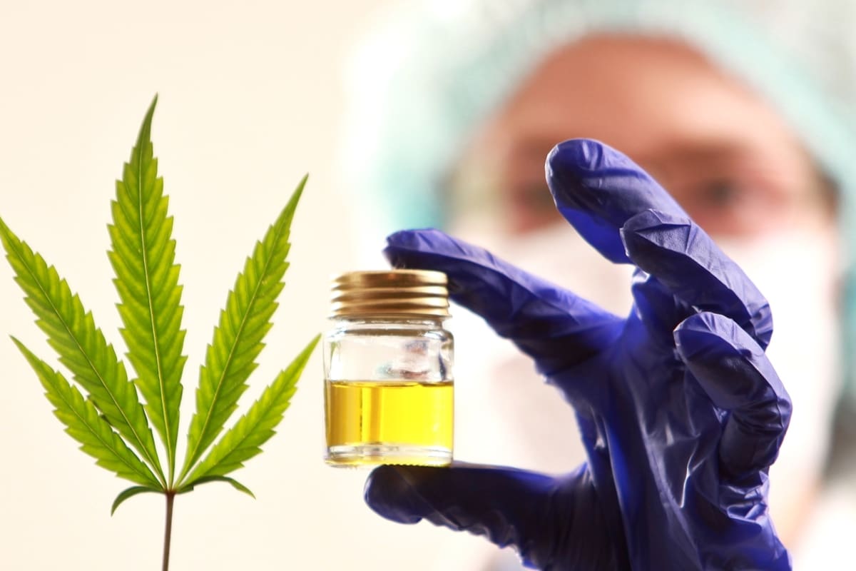 Canabis medicinal: ¿qué cambió con la nueva ley?