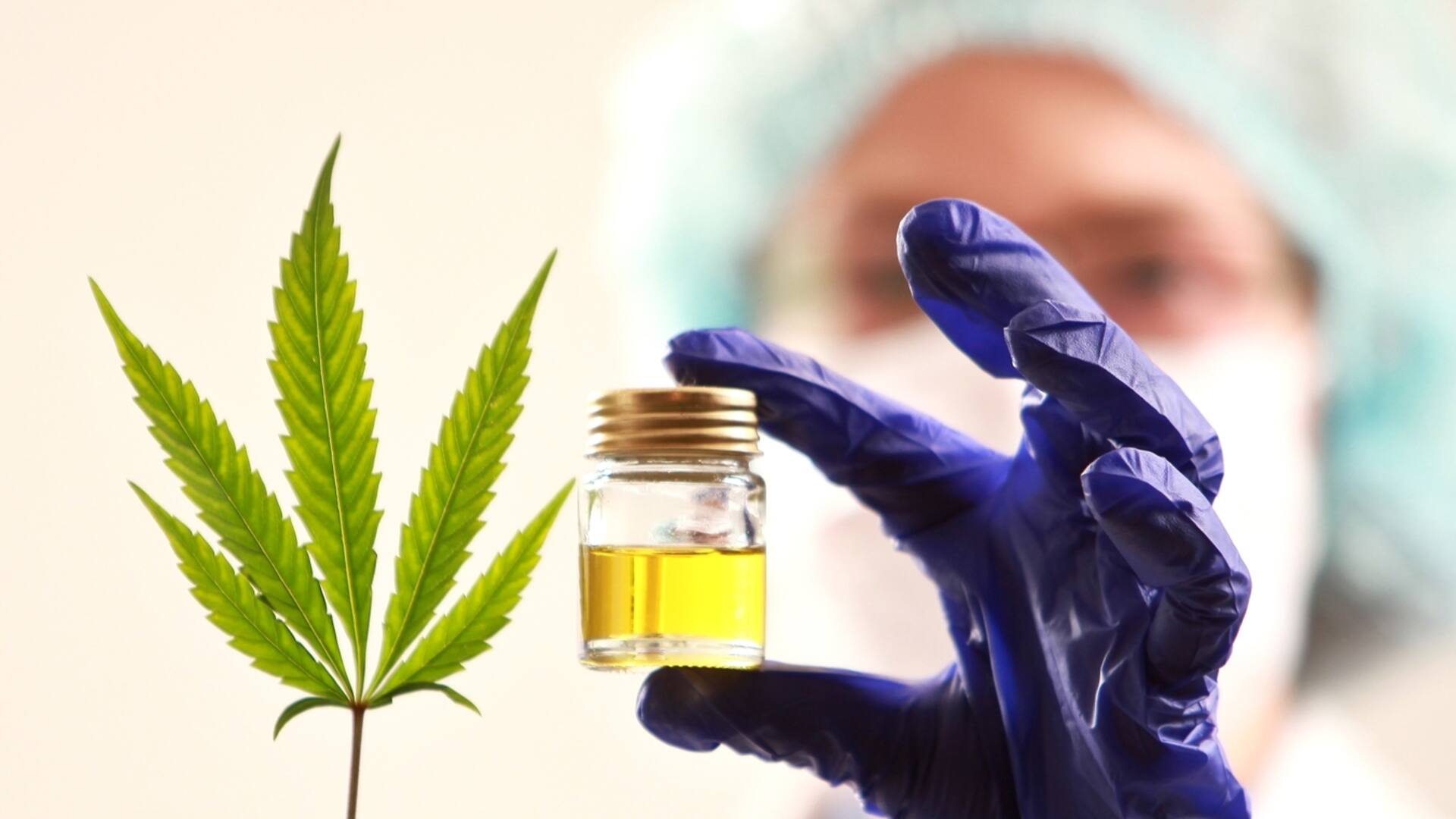Canabis medicinal: ¿qué cambió con la nueva ley?