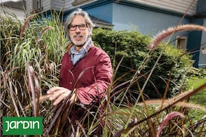Decidió cambiar de rumbo, estudió jardinería y diseño del paisaje y hoy vuelve al periodismo que más le gusta