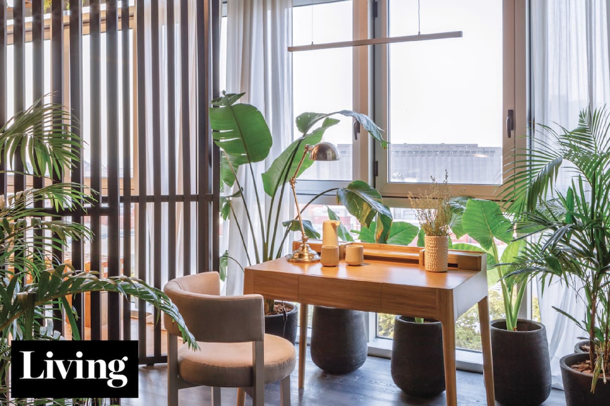Puro ingenio. Un loft sin balcón, pero con una cocina-lavadero verde y un escritorio “botánico”