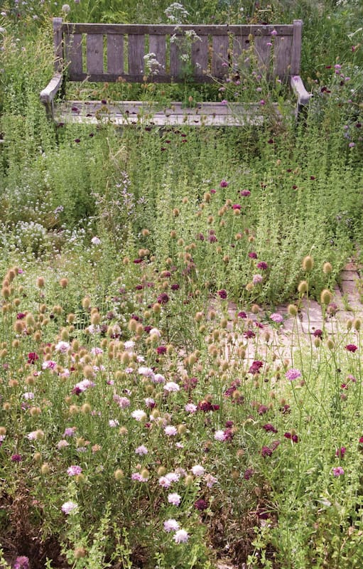 Jardín orgánico: cómo mantener tus plantas sanas con métodos naturales