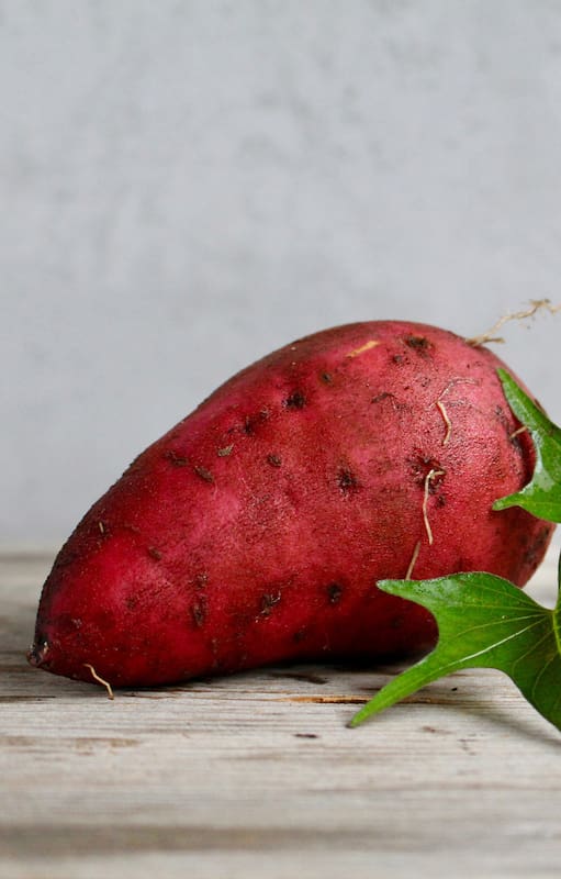 En tu casa: cómo cultivar batatas aunque cuentes con muy poco espacio