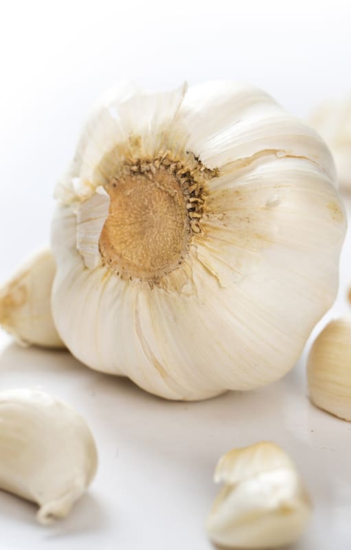 El potente antibiótico natural que podés cultivar en casa