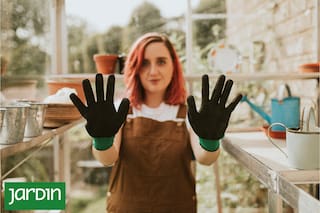 Estas plantas y frutos podrían arruinar tu piel en verano