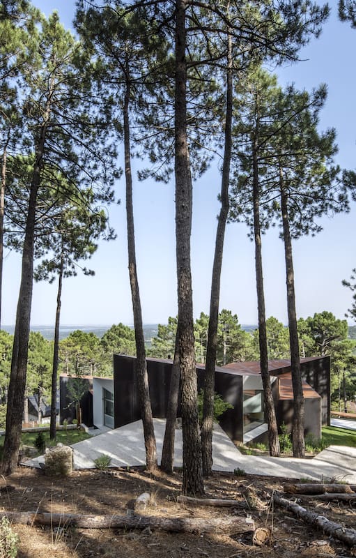 “La habitación de al lado”: recorremos la casa en el bosque de Madrid en la que se filmó la última película de Almodóvar