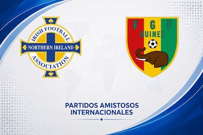 Irlanda del Norte venció por 1-0 a Guinea, en un amistoso internacional 2026