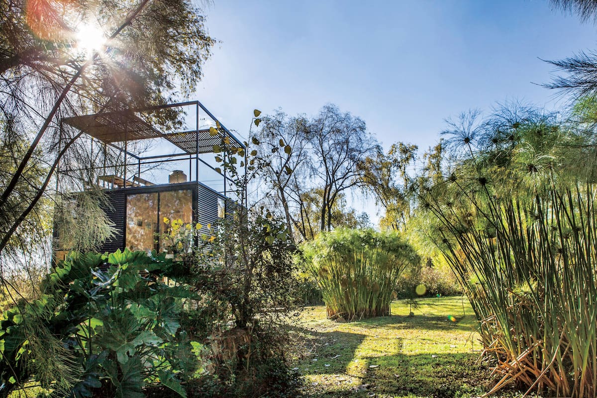 Refugio de diseño: Una estilizada casita de 36m2 sobre pilotes captura la esencia del Delta