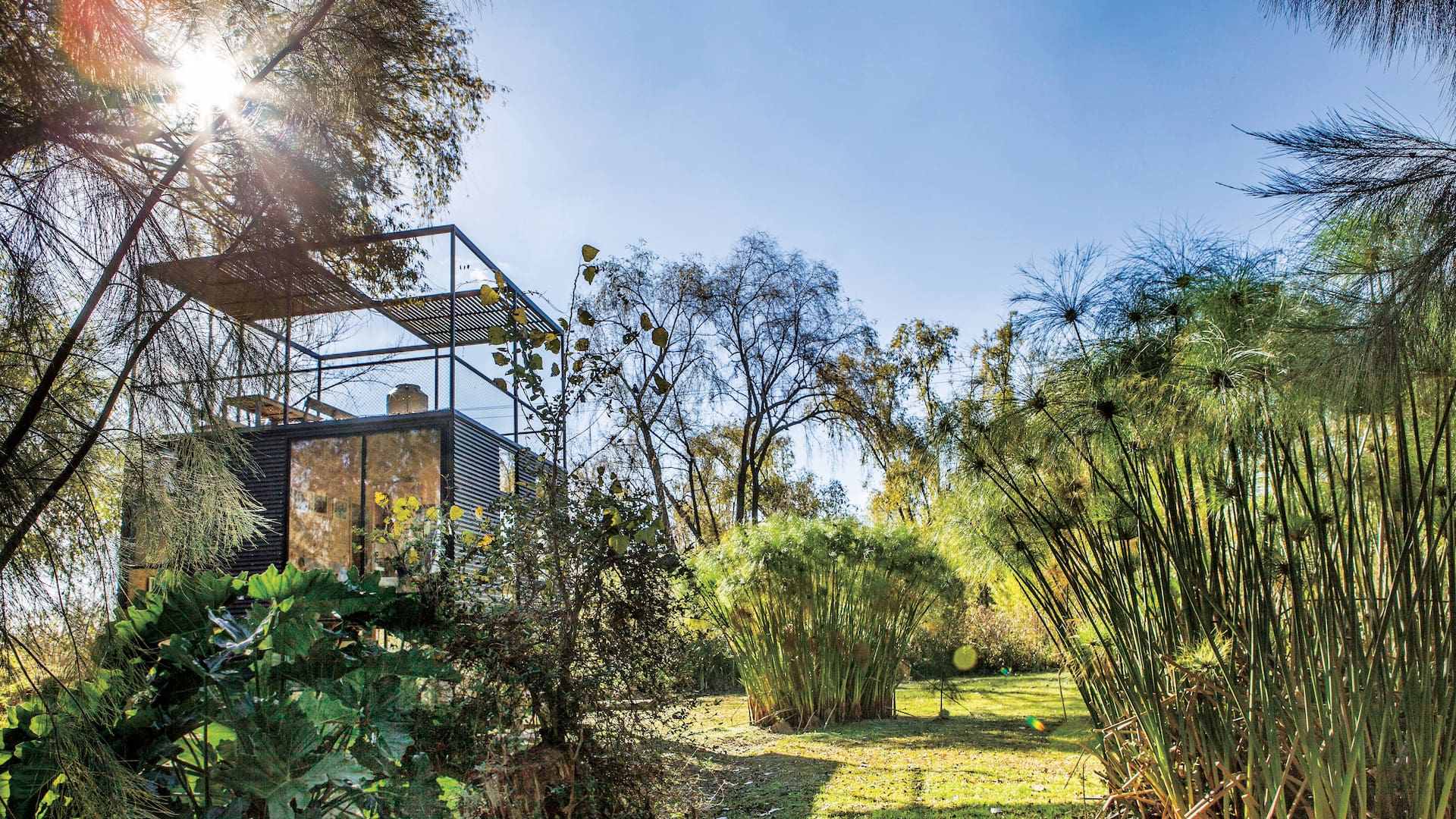 Refugio de diseño: Una estilizada casita de 36m2 sobre pilotes captura la esencia del Delta