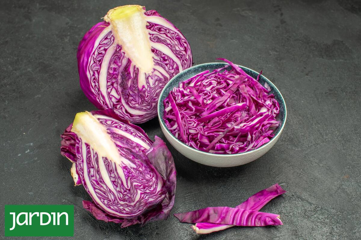 Qué verduras y frutas de la huerta aceleran el metabolismo y dan más energía