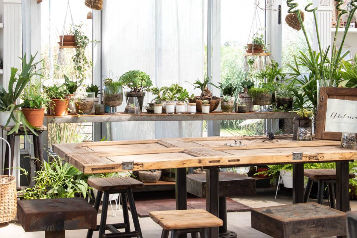 Tendencias: tres tiendas de jardinería donde podés encontrar mucho más que plantas